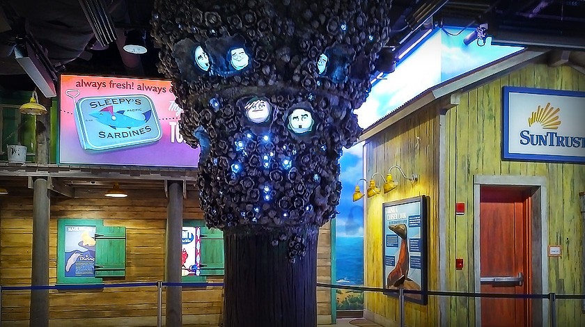 Georgia Aquarium Barnacles